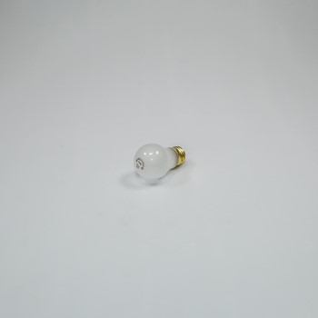 40 Watt Appliance Bulb 8009 CKD50054