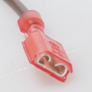 Mtr Evap Fan WR60X162 CKD50821